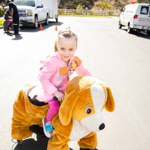 Big Kid Animal Rides