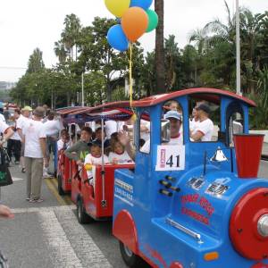 Trackless Train - 12 Passenger
